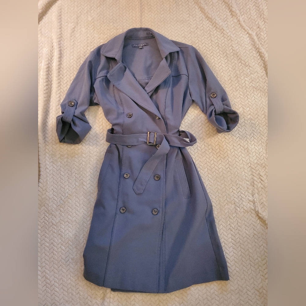 Sharagano Elegant Blue Dress
